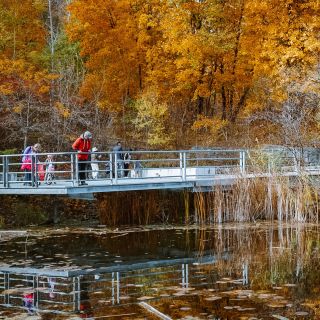 Fall in the Don Valley