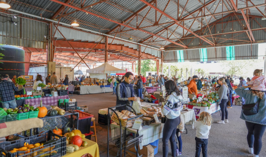 Outdoor Farmers Market