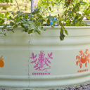 Demonstration plant beds outdoors at Evergreen Brick Works