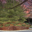 Koerner Gardens rendering. Large animated image of trees and bushes