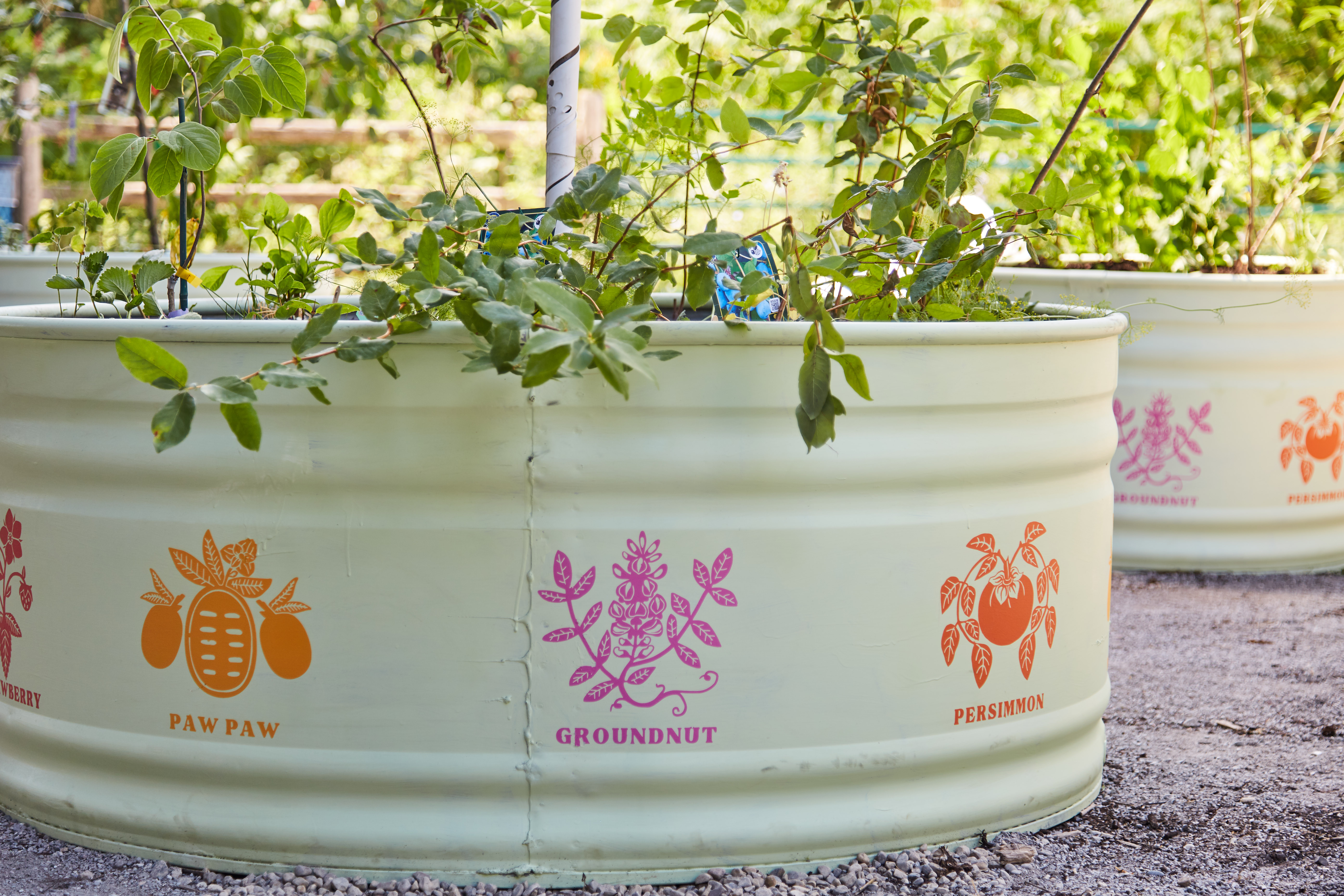 Container gardens at Evergreen Brick Works Image: Ibrahim Abusitta