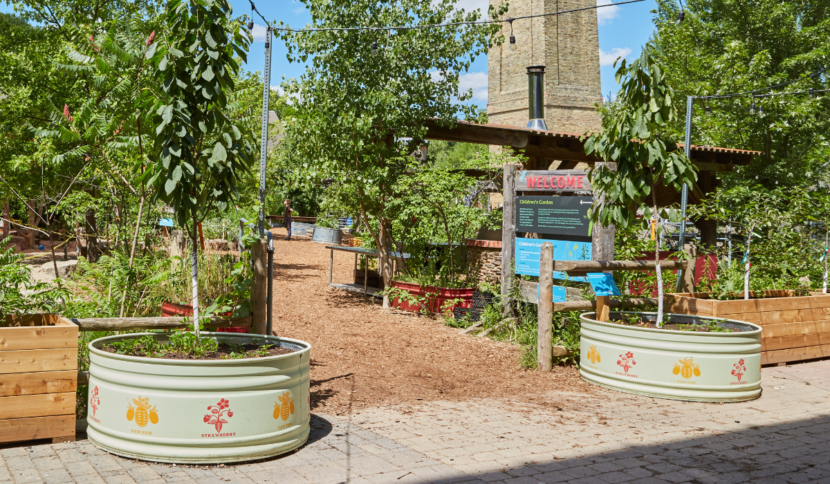 Regenerative Landscapes - Children's Garden