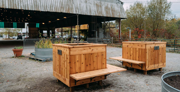 Two planters holding Paw Paw trees at the Evergreen Brick Works