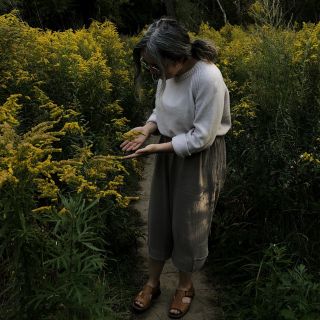 person in a field of ragweed looking down at the plants