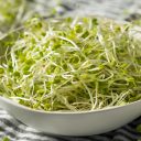 Close up of edible sprouts