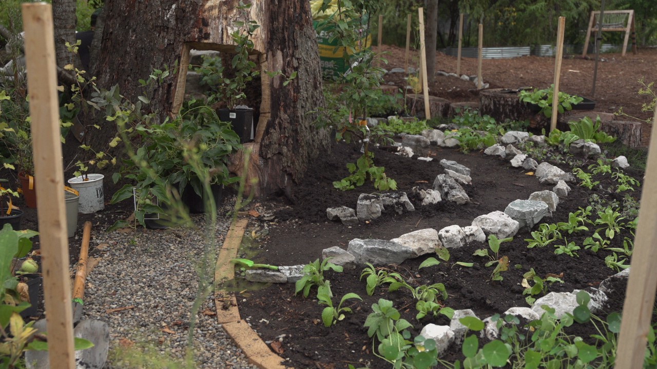 A garden with a maze pattern