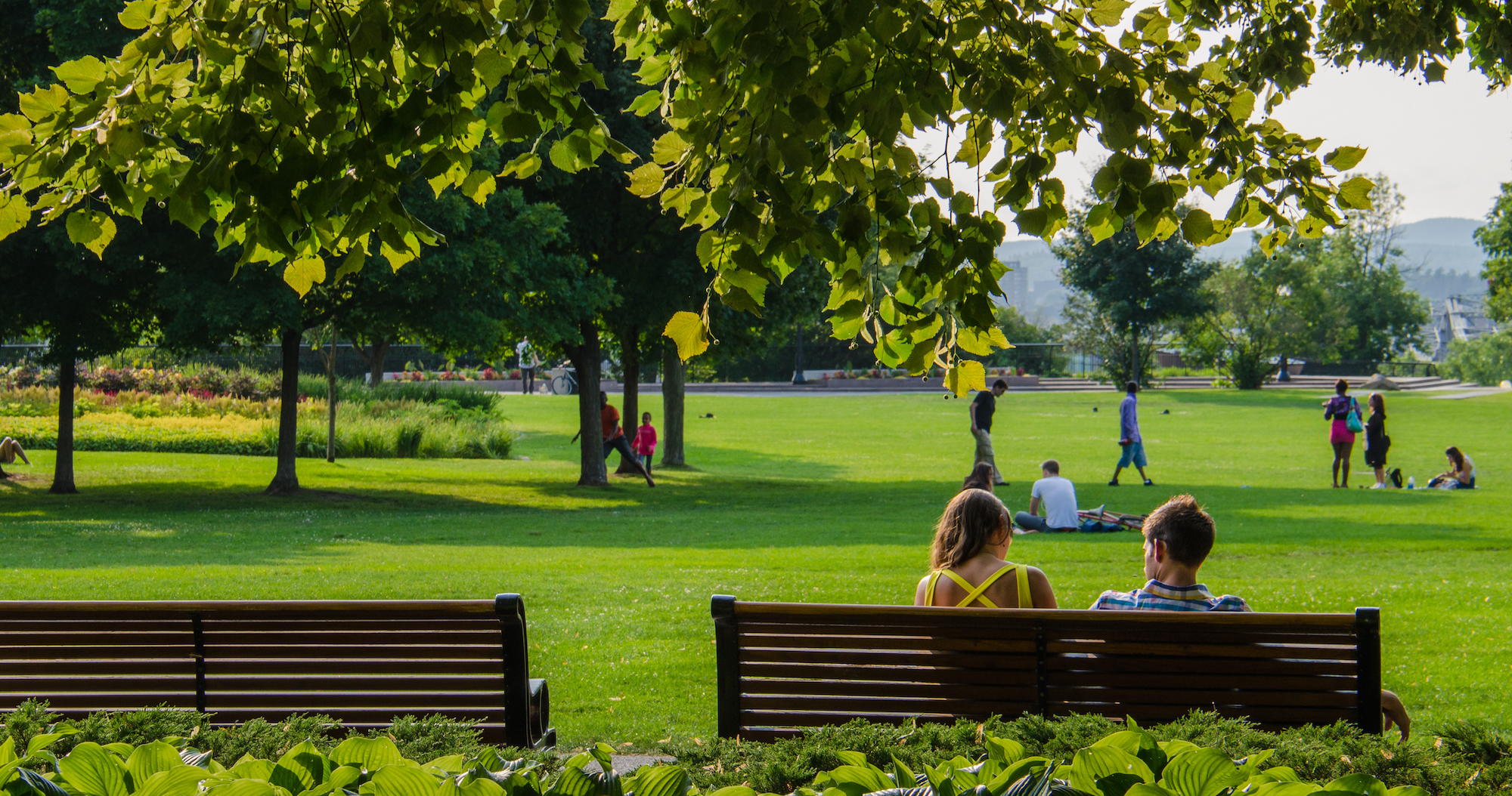 two people sitting on a park bench under the trees with family playing in the distance