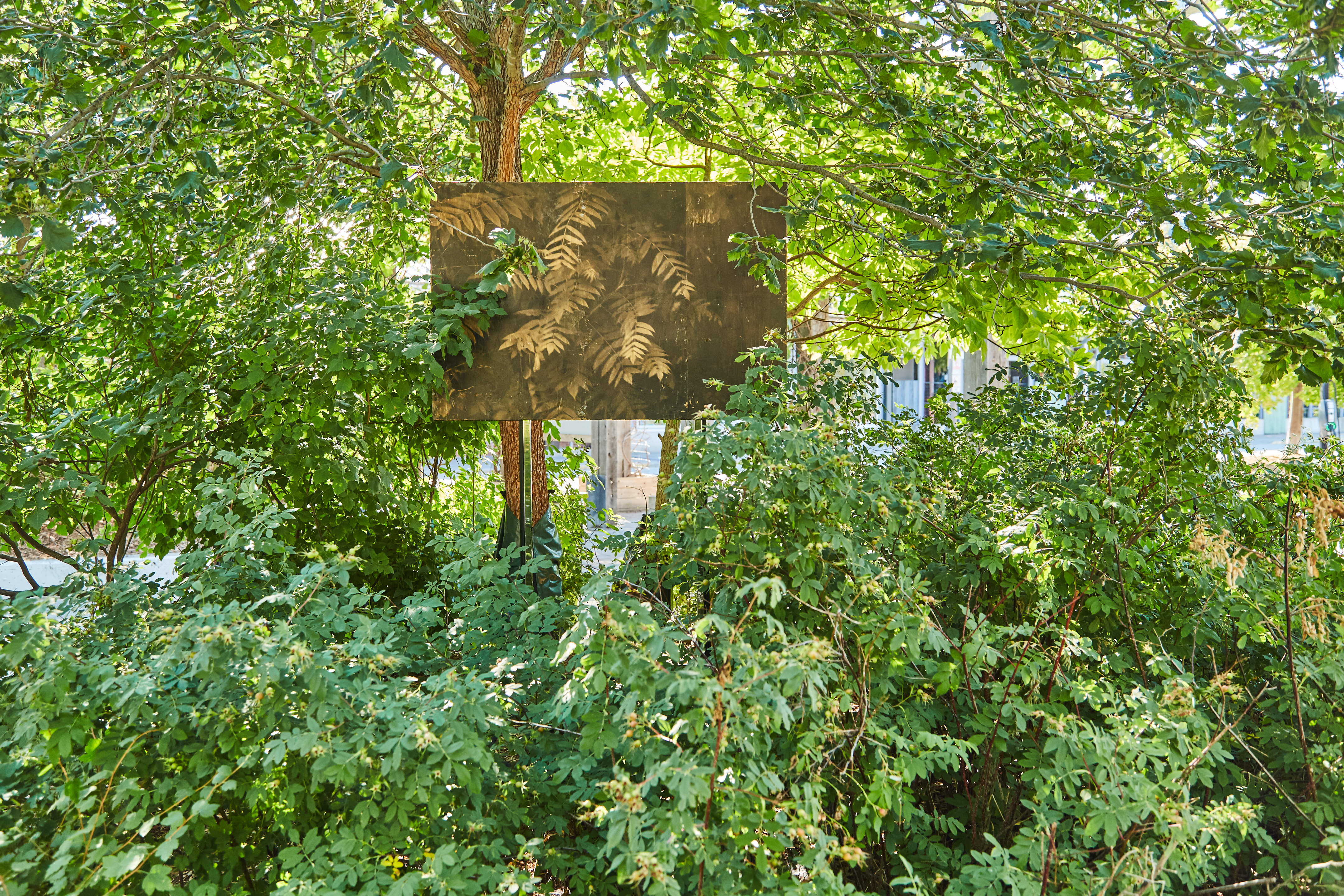 Sandra Brewster, Roots, 2021–2022, installation view Image: Ibrahim Abusitta